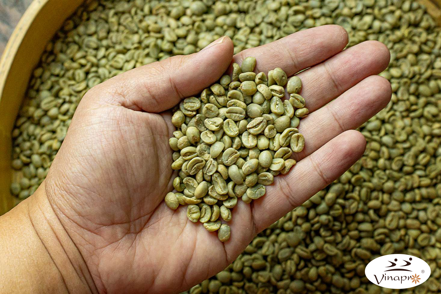 EXPORT ORDERS ARE FULL FOR THE WHOLE QUARTER OF 2024, CAN COFFEE EASILY REACH THE TARGET?